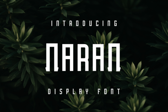 How Naran Font Elevated My Bakery’s Brand Identity