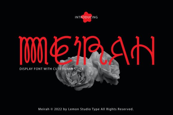 Meirah: A Vintage-Inspired Font for Bold Editorial Design