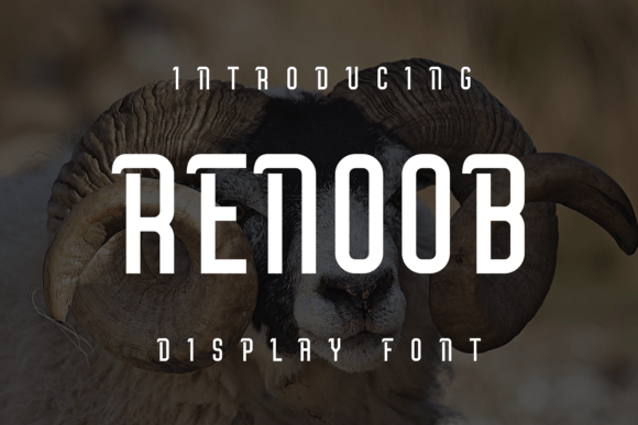 Renoob: The Font That Speaks Volumes in Design